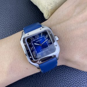 Alternative view of Blue-faced Mountain Darter